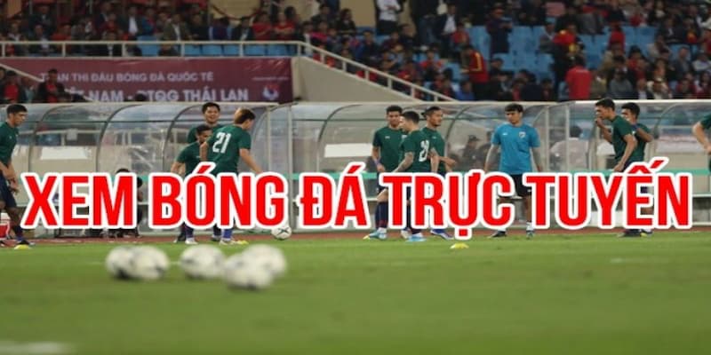 Lý do nên chọn xem bóng đá trực tiếp kèo nhà cái