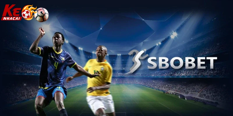 Hình minh họa chương trình khuyến mãi hấp dẫn tại SBOBET cho thành viên mới.