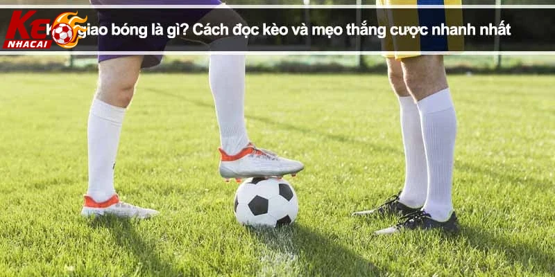 Người chơi trải nghiệm đặt cược kèo kick off trên điện thoại
